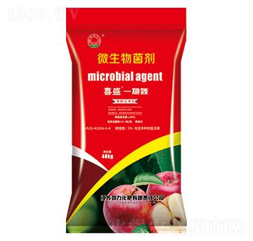 ΢�������-ϲ��һ���Z