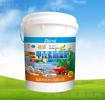 �ך��غ����-ֲ��-�S