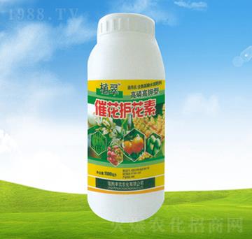 �߻��o(h��)����-ֲ��-�S�r(n��ng)