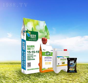 �ײ�A-�Zؐ�S