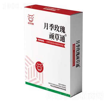 �¼�õ���B��ͨ-���A��