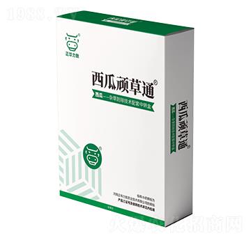 �����B��ͨ-���A����