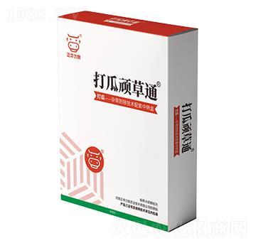 ����B��ͨ-���A����