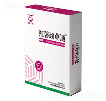 �t���B��ͨ-���A����