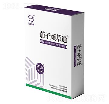 �����B��ͨ-���A����