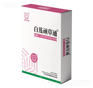 ��ܸ�B��ͨ-���A����