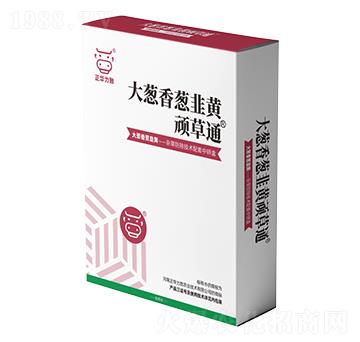 ���[�����[�����S�B��ͨ