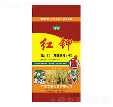 �t�-�������