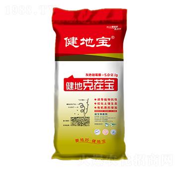 ���ؿ˲猚-���،�