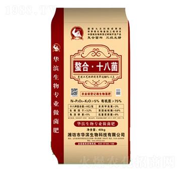 ����ʮ�˾�-�A�I����