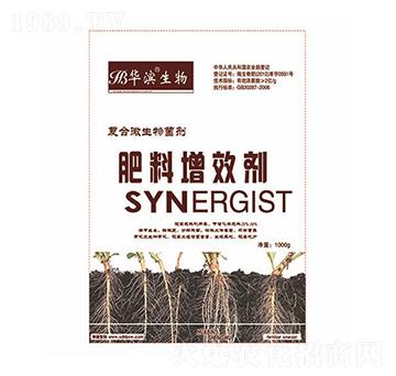 ������Ч��-�A�I����