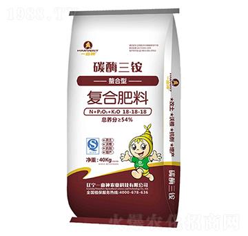 �����͏ͺϷ���18-1