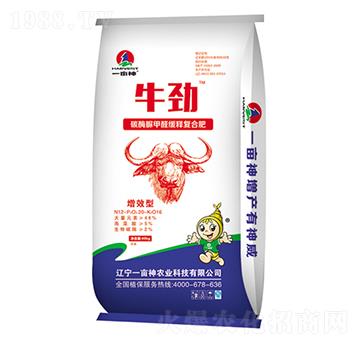 ̼ø���ȩ��ጏͺϷ���