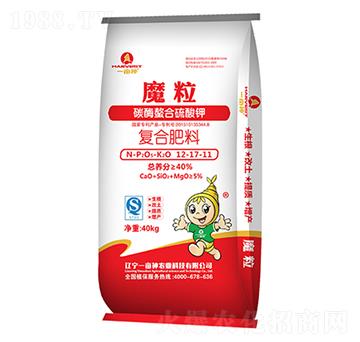 ̼ø��������⛏ͺϷ���