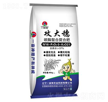 ̼ø���ϏͺϷ���16-