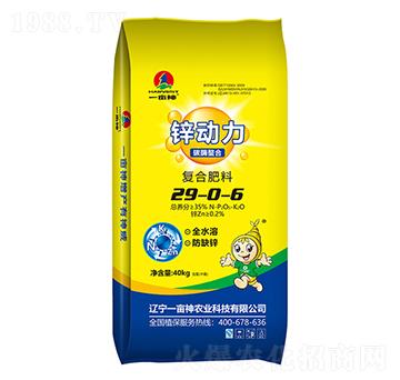 �ͺϷ���29-0-6-