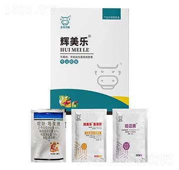 ��ù�������߲������˲�