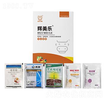 ���������o������������