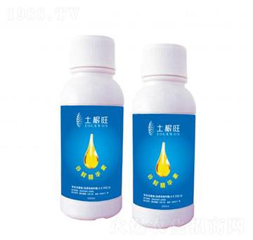 ���r���AҺ-������