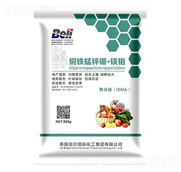 �~�F�i�\���V�f-Ӣ������-�տ���