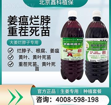 �󽪠����ӌ���-�ο�ֲ��