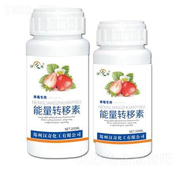 ��ݮ���������D(zhu��n)����-�h