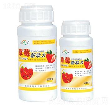 ��ݮ����-�h�滯��