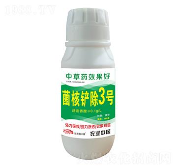 �����P��3̖-(li��n)�r(n��ng)���S��