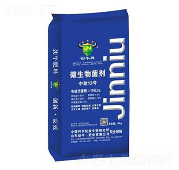 ΢�������-�Є�13̖(h��o)-��ţ