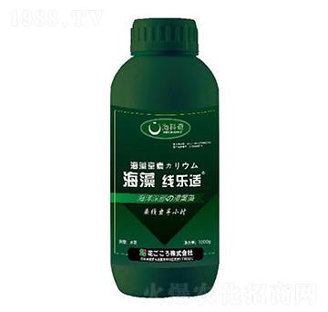 ���往���m-������