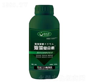 �����(f��)����-������