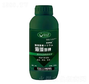 ���嵪�-������