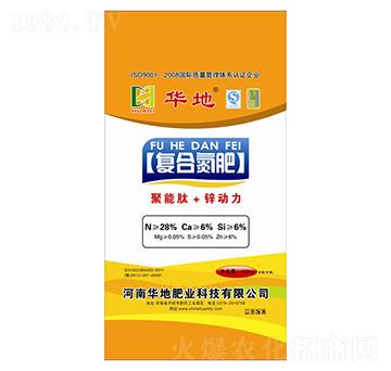 �ͺϵ���28-6-6-�A�طʘI(y��)