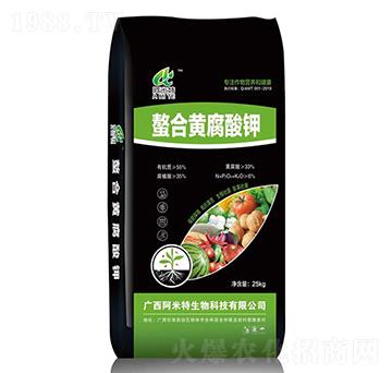 �����S�����-������