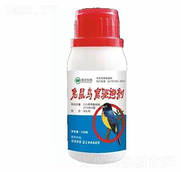 �����B�C��ㄩ-���r����