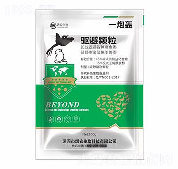 ���w��-һ���Z-���r����