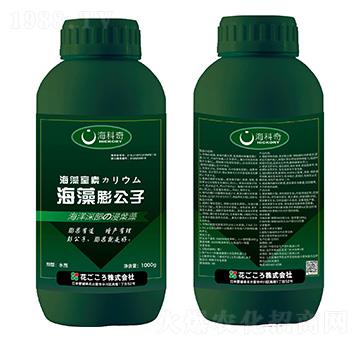 ��������-������