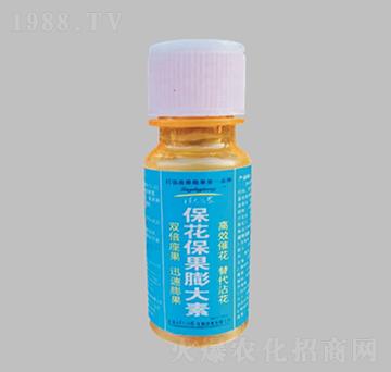 �������������-�����