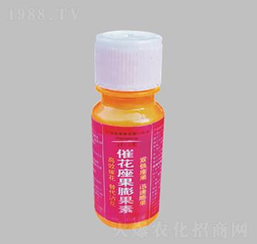 �߻����������-�����