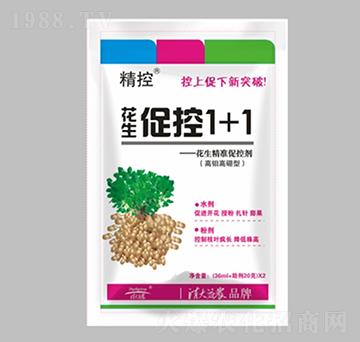 �����ٿ�1+1-����-������r(n��ng)