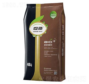 �O�|(zh��)΢����������p�����������{������-�ۃ�