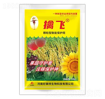 100g�w�������ܱ��o�W(w��ng)-���w-������