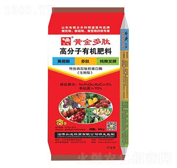 �S����ĸ߷����ЙC����-����-���{����