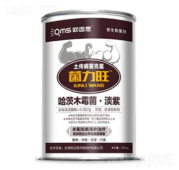 ����ľù��������-������-�W�~˼�r(n��ng)�I(y��)