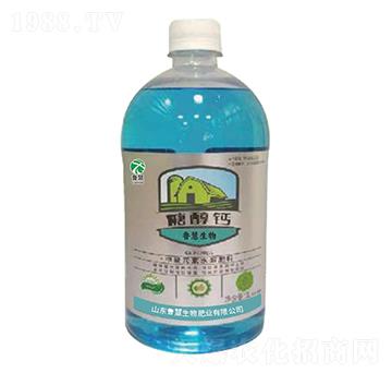 �Ǵ��}-��������