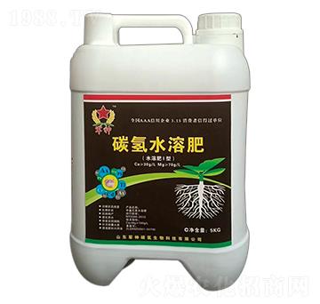 ̼��ˮ�ܷʣ�ˮ��I�ͣ�-̼������