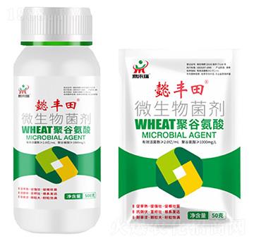 ܲ�S��-΢�������-������