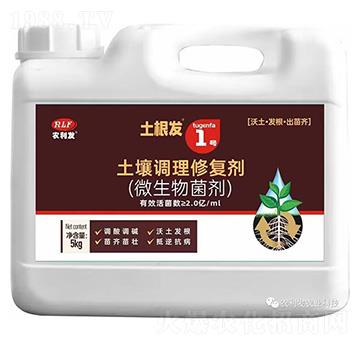 �����{���ޏ̈́�(΢�������)-�����l(f��)1̖-�r���l(f��)