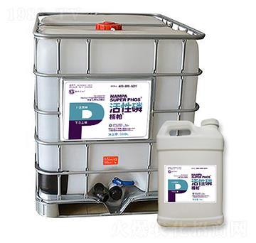 �����������-����