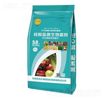 �����}΢�������-��������ޏ�(f��)